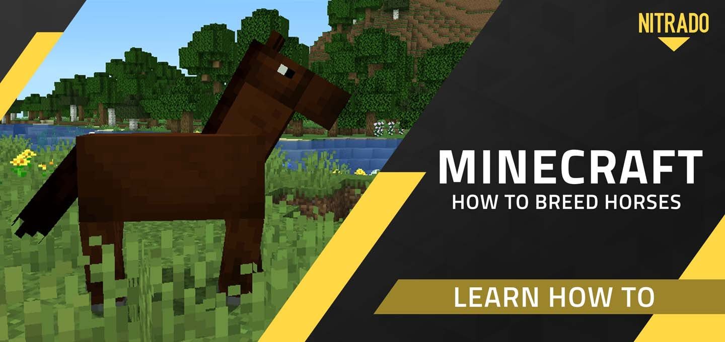 Comment Faire Reproduire des Chevaux dans Minecraft | NITRADO