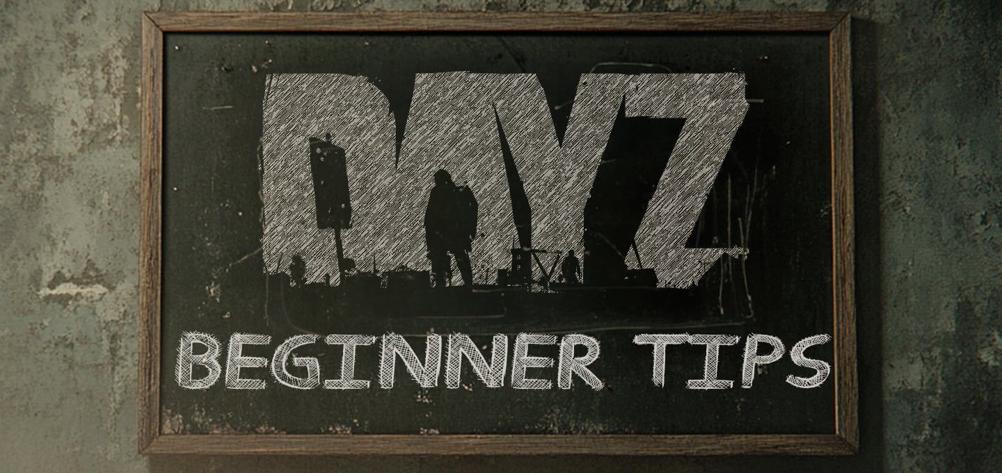 Dayz 1.25 Update