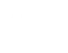VEIN